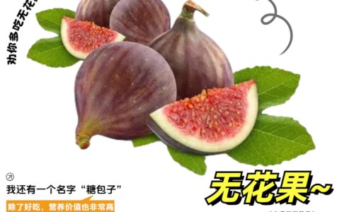 中药炒王不留行的功效与作用以及禁忌应该先煎还是后下-权威中药炒九香虫的功效与作用平台,分享专业中药炒川芎的功效与作用知识_中药炒王不留行的功效与作用网