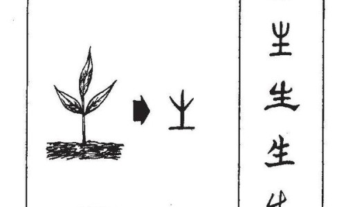 中药炒王不留行的功效与作用以及禁忌应该先煎还是后下-权威中药炒九香虫的功效与作用平台,分享专业中药炒川芎的功效与作用知识_中药炒王不留行的功效与作用网